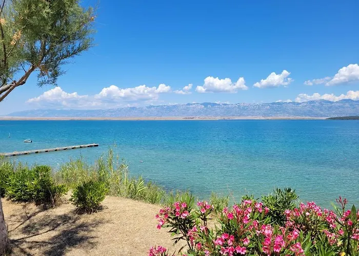 Apartament Apartment-villa Vesna