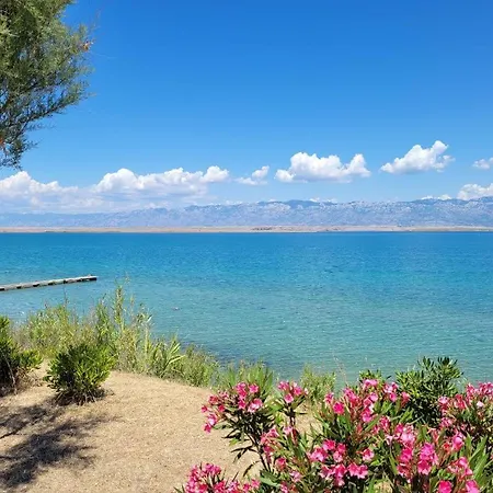 Apartamento Apartment-villa Vesna